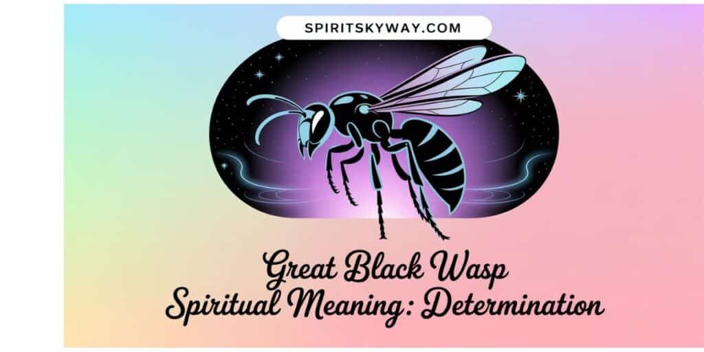 Great Black Wasp Spiritual Meaning: Determination