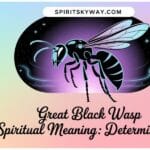 Great Black Wasp Spiritual Meaning: Determination