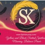 Yellow and Black Feather Spiritual Meaning: Balance Power