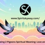 Seeing 2 Pigeons Spiritual Meaning: love and Peace