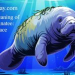 Spiritual Meaning Of Seeing A Manatee: Peace & Grace