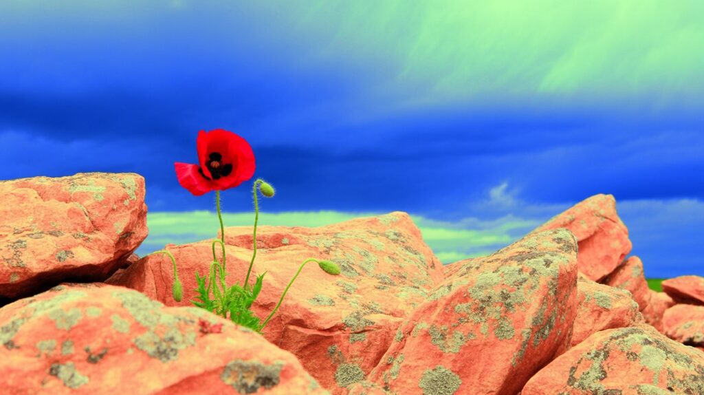 Courage and Strength