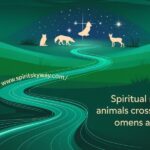 Spiritual Meaning of Animals Crossing Your Path: Omens and Insights