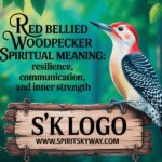 Red Bellied Woodpecker Spiritual Meaning: Resilience, Communication, and Inner Strength