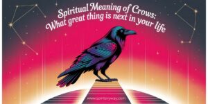 Spiritual Meaning of Crows: What Great Thing Is Next in Your Life
