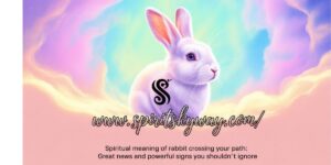 Spiritual Meaning of Rabbit Crossing Your Path: Great News and Powerful Signs You Shouldn’t Ignore