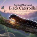 Spiritual Meaning of Black Caterpillar: Hidden Potential, Shadow Work, and Powerful Transformation