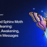 White Lined Sphinx Moth Spiritual Meaning: Transition, Awakening, and Hidden Messages